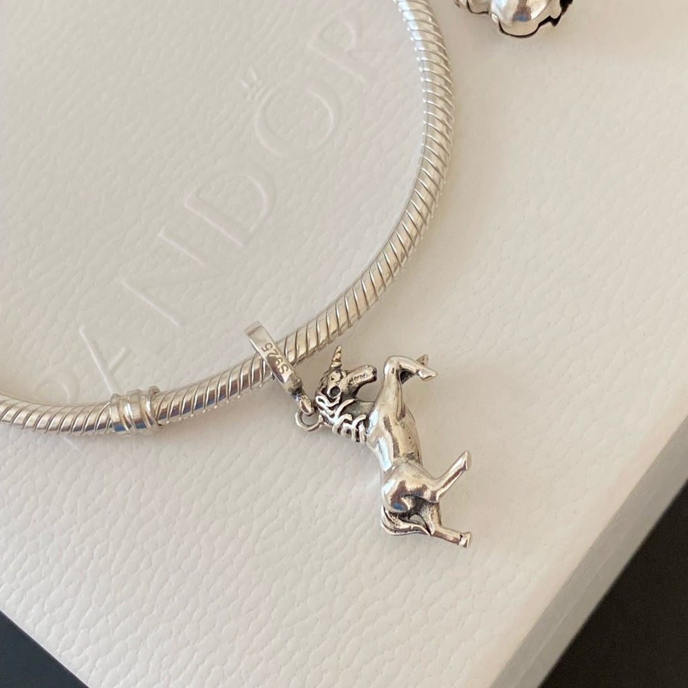 Sterling silver charm